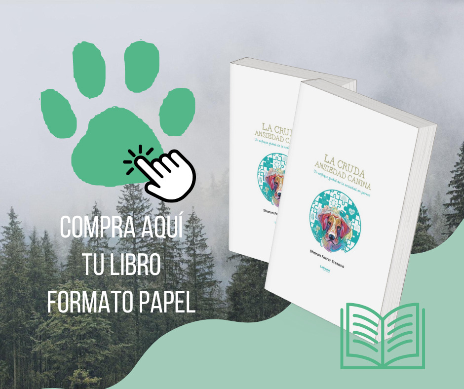 Libro en papel compra